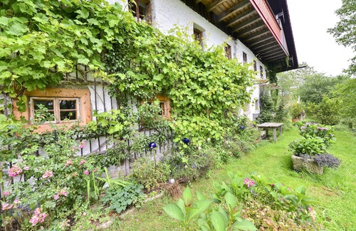 Neureichenau Apartment | Courtyard studio Menacher treasure cave - 25 sqm studio on the ground floor with terrace
