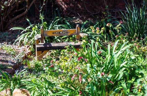 Pretoria Apartment | Cozee Garden Cottage