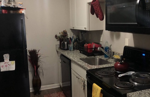 Decatur Apartment | Cozy 1 bedroom apartment!