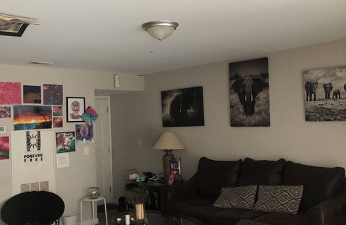 Decatur Apartment | Cozy 1 bedroom apartment!