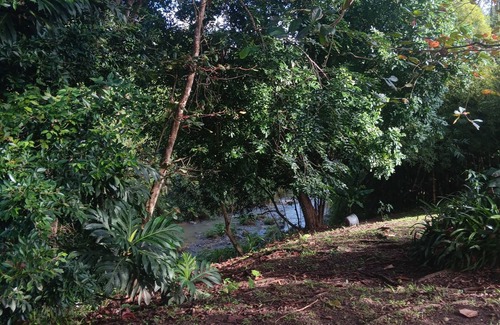 Rincon Apartment | Cozy 1-bedroom studio in nice Cayey