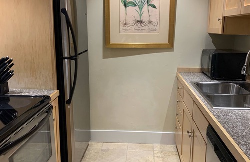 Telluride Condo | Cozy 1BR condo, 5 min walk to town center, ski in, walk to chairlift, fireplace!