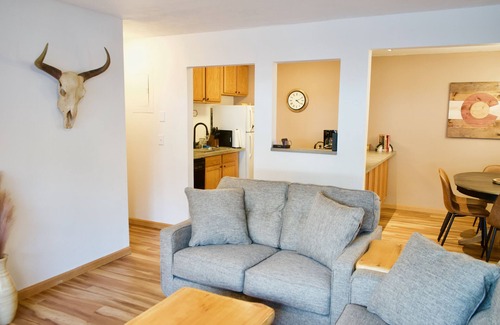 Steamboat Springs Condo | Cozy 2 Bedroom Condo W/FREE bus - 1/2mi to Mtn