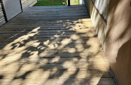 Homer House | Cozy 2-bedroom lake camp house in fantastic Homer with WiFi and lake access