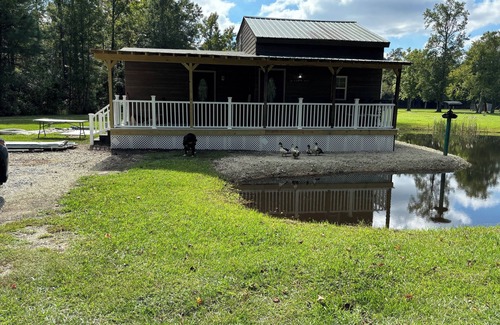 Jacksonville Cabin | Cozy 2 bedroom pet friendly cabin in great location with all the extra's