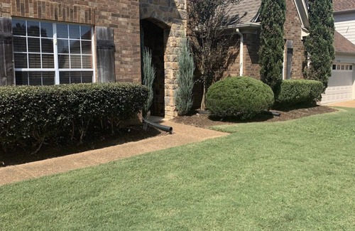 Cordova House | Cozy 3BR Suburban Oasis with huge backyard & theatre