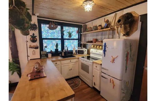 East Ybor House | Cozy AF Jungle-House Hideaway
