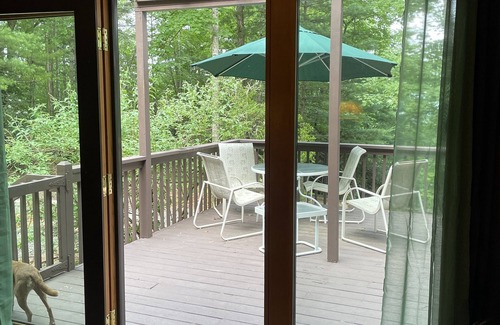 Pisgah Forest Cottage | Cozy and fun mountain-view cottage 10 mins from shopping and hiking