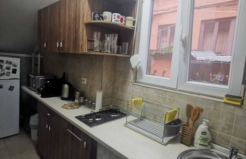 Timisoara Apartment | Cozy and intimate apartment never the city center and the river side