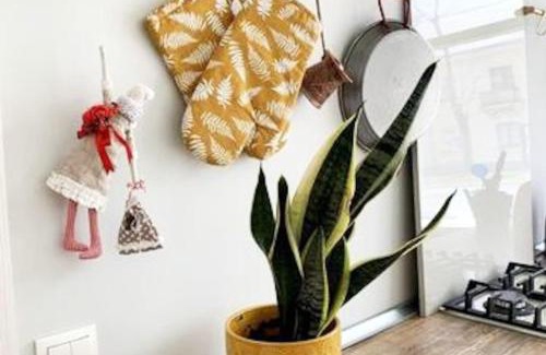 Sillamae Apartment | Cozy apartment in a historical town