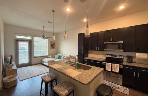 Central Southwest Apartment | Cozy Apartment in Central Houston near NRG and Medical Center with Amenities