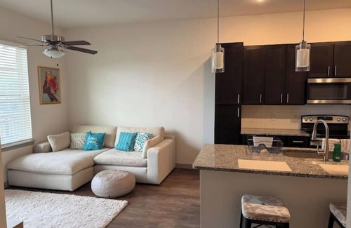 Central Southwest Apartment | Cozy Apartment in Central Houston near NRG and Medical Center with Amenities