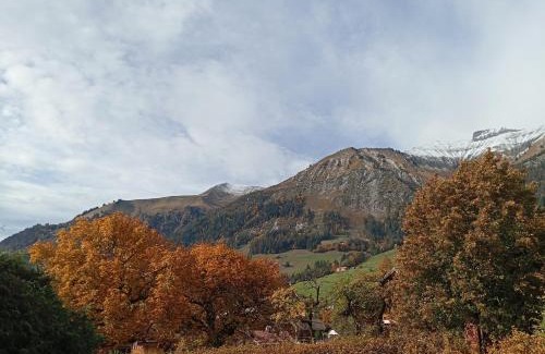 Chateau-d'Oex Apartment | Cozy apartment in the heart of the Alps