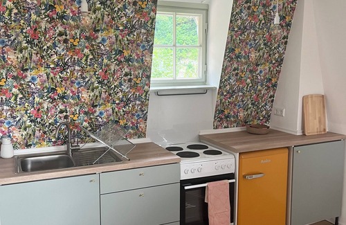 Sigmaringen Apartment | Cozy apartment in the Villa Laur (pet-friendly)
