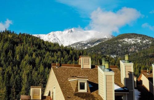 East Kootenay Apartment | Cozy apartment in the heart of Panorama