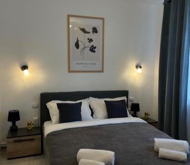 Zalau Apartment | Cozy Apartment Sfanta Vineri Zalau