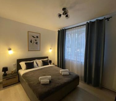 Zalau Apartment | Cozy Apartment Sfanta Vineri Zalau