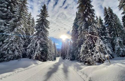 Les Deserts Apartment | Cozy apartment "WAPITI" at the foot of the slopes