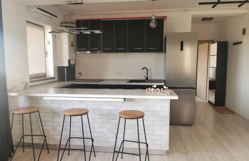 Timisoara Apartment | Cozy Apartment with Fireplace