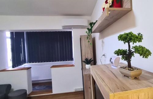 Bacau Apartment | Cozy Apartment- zona centrala