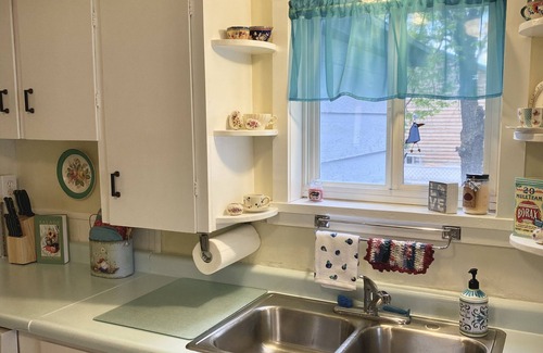 Garden City Cottage | Cozy Blue "Beary" Cottage in the heart of Garden City