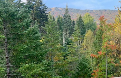 Bretton Woods House | Cozy Bretton Woods Townhome - AC. Close to many activities including Cog Train
