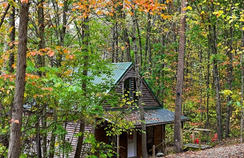 Carbon Hill Cabin | Cozy Cabana is secluded yet close to local attractions