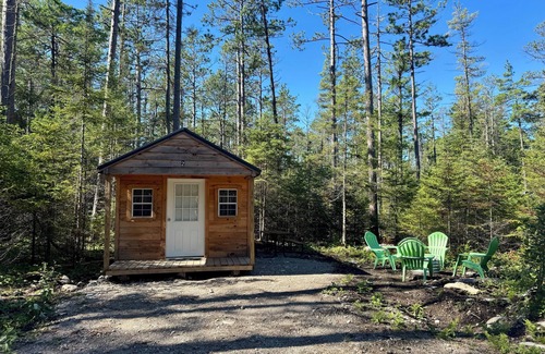 Drummond Island Cabin | Cozy cabin close to trails!