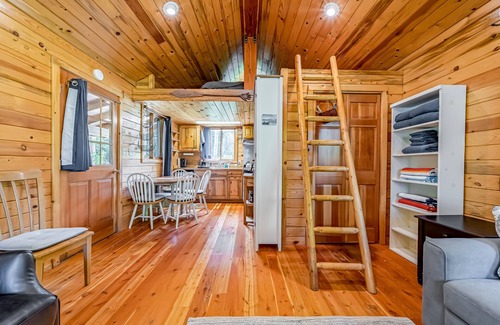 Shelter Cove Cabin | Cozy cabin, family-friendly, with fishing, washer/dryer, patio, & WiFi