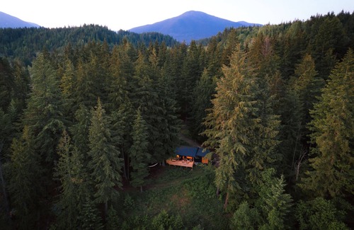 Nakusp Cabin | Cozy cabin in private forest with stunning mountain views and fire-heated sauna