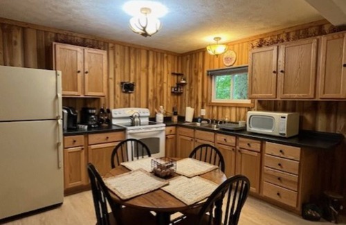 Thompsonville Cabin | Cozy Cabin - In the Stix! Centrally located for Up North Fun