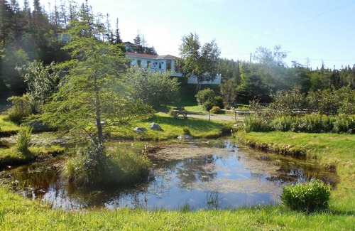 Cape Broyle Cabin | Cozy Cabin just steps from the East Coast Trail