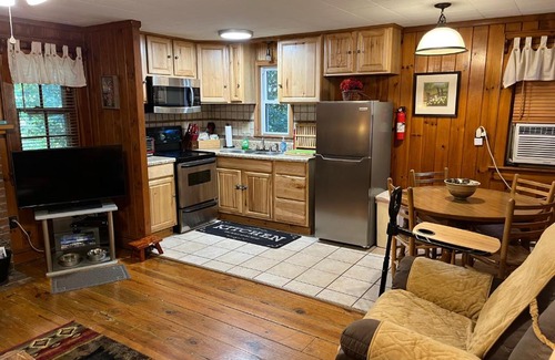 Maggie Valley Resort | Cozy Cabin Pet Friendly ADA Compatible