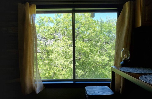 Julian Cabin | Cozy Cabin Studio Nestled in the Trees with Mountain Views.