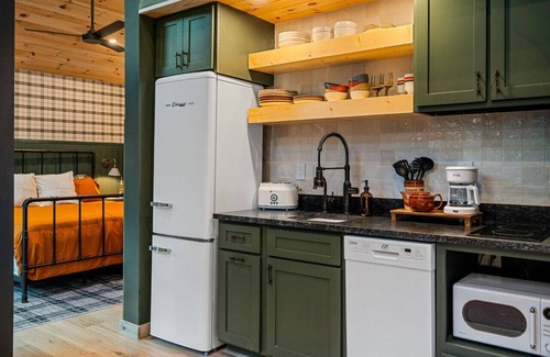 Baxter Cabin | Cozy Cabin w/Hot Tub, Sauna, Pickleball & Plunge!