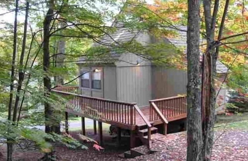 Davis Cabin | Cozy Cabin with Swimming, Hiking, Skiing and Biking