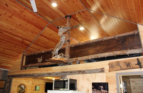 Jasper Cabin | Cozy cabin with WiFi and AC in charming Hornell. Riding distance to Tall Pines!