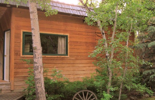 Beaver Mines Cabin | Cozy cabins that sleep 6 w/hot tub close to Castle Mountain!