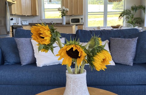 Found Mills House | Cozy Chalet with Water View, Kayaks and Hot Tub on the Stanley River