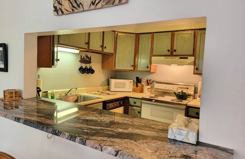 North Woodstock Condo | Cozy, close to town, shops/dining. TV/DVD, AC, pet-friendly. AL118 by LRS