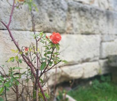 Emeville House | Cozy cottage & ideal closed garden