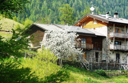 Sant'Orsola Terme Cabin | Cozy Cottage on the mountains in Trentino Alto Adige Valle dei Mocheni