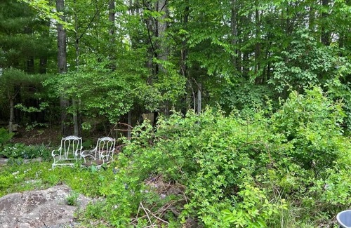 Ellenville Cottage | Cozy Cottage with a Pond 2