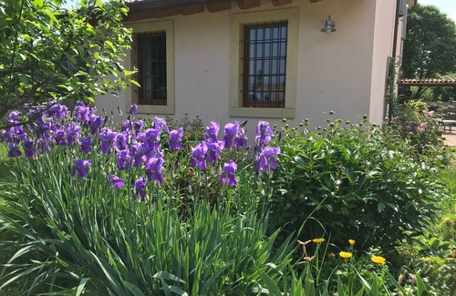 Villafranca di Verona House | Cozy country house near Verona