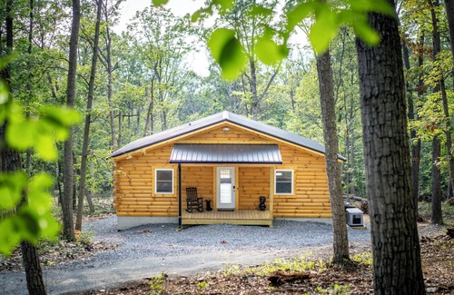 Shenandoah Cabin | Cozy Cub Den - Brand Cabin Retreat for Nature Lovers in Shenandoah