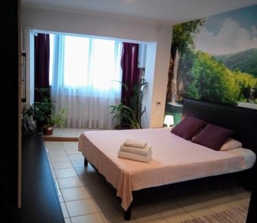 Bucharest City-Centre Apartment | Cozy Downtown Oasis