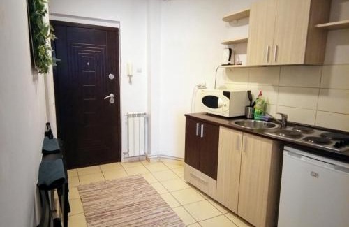 Bucharest City-Centre Apartment | Cozy Downtown Oasis