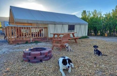 Sevier County Other | Cozy Glamp Tents at Wildland Gardens