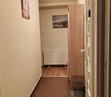 Banovo brdo Apartment | Cozy green house (free parking spot)