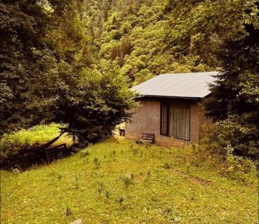 Likani Villa | Cozy house in the forest